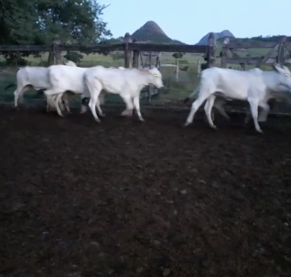 56C0C8D6-7F92-48AA-81AA-0B4BAABDF691