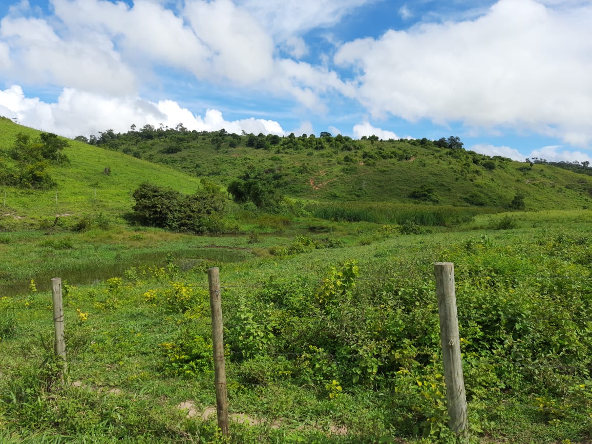 B6C4BC9F-0A3D-4853-BEB7-624D50366BF2