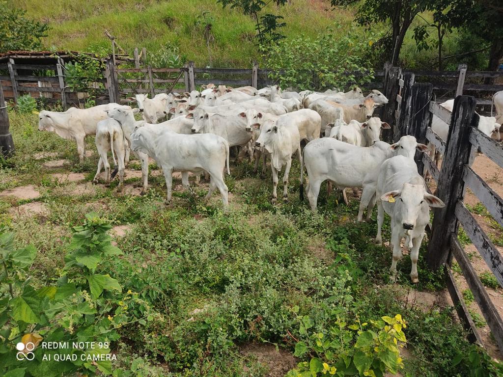 D2F7AE11-F386-4565-B183-A3C6AAACBFF9