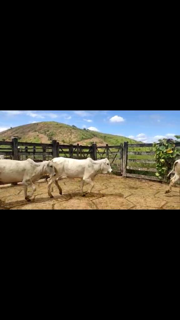 D6DF6CE1-461E-48A2-BE93-539B5DA53110