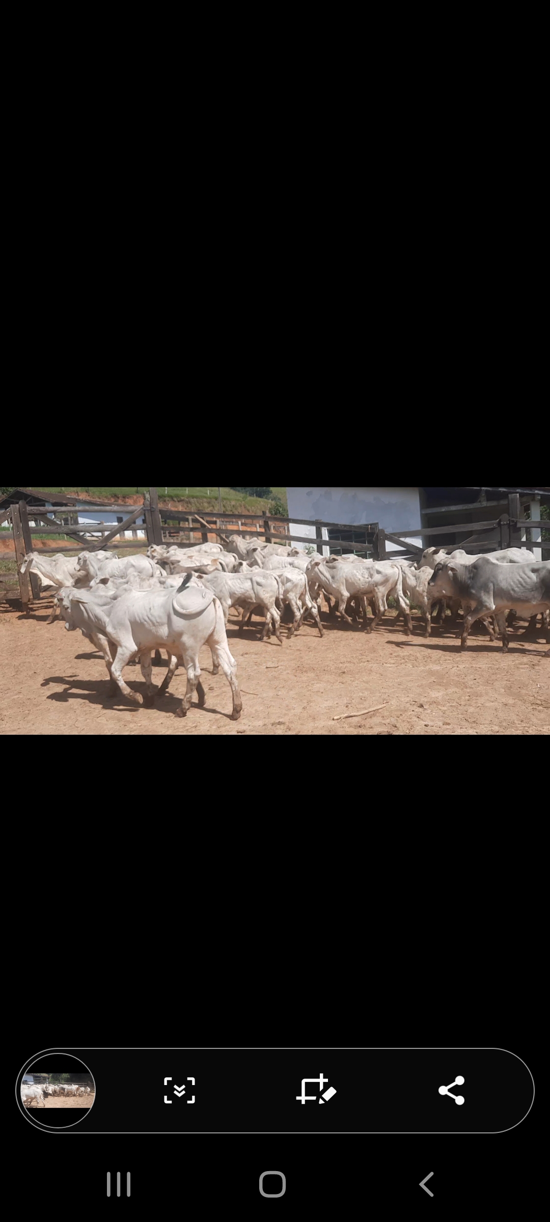 inbound4374399554199685618