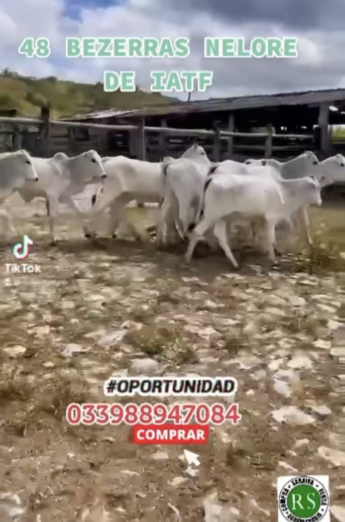 3808067D-DA44-407F-B85A-3A4BA80CC138