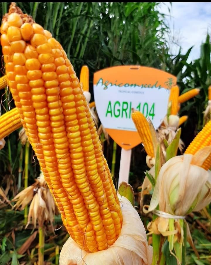 Screenshot_20211121-222215_Facebook