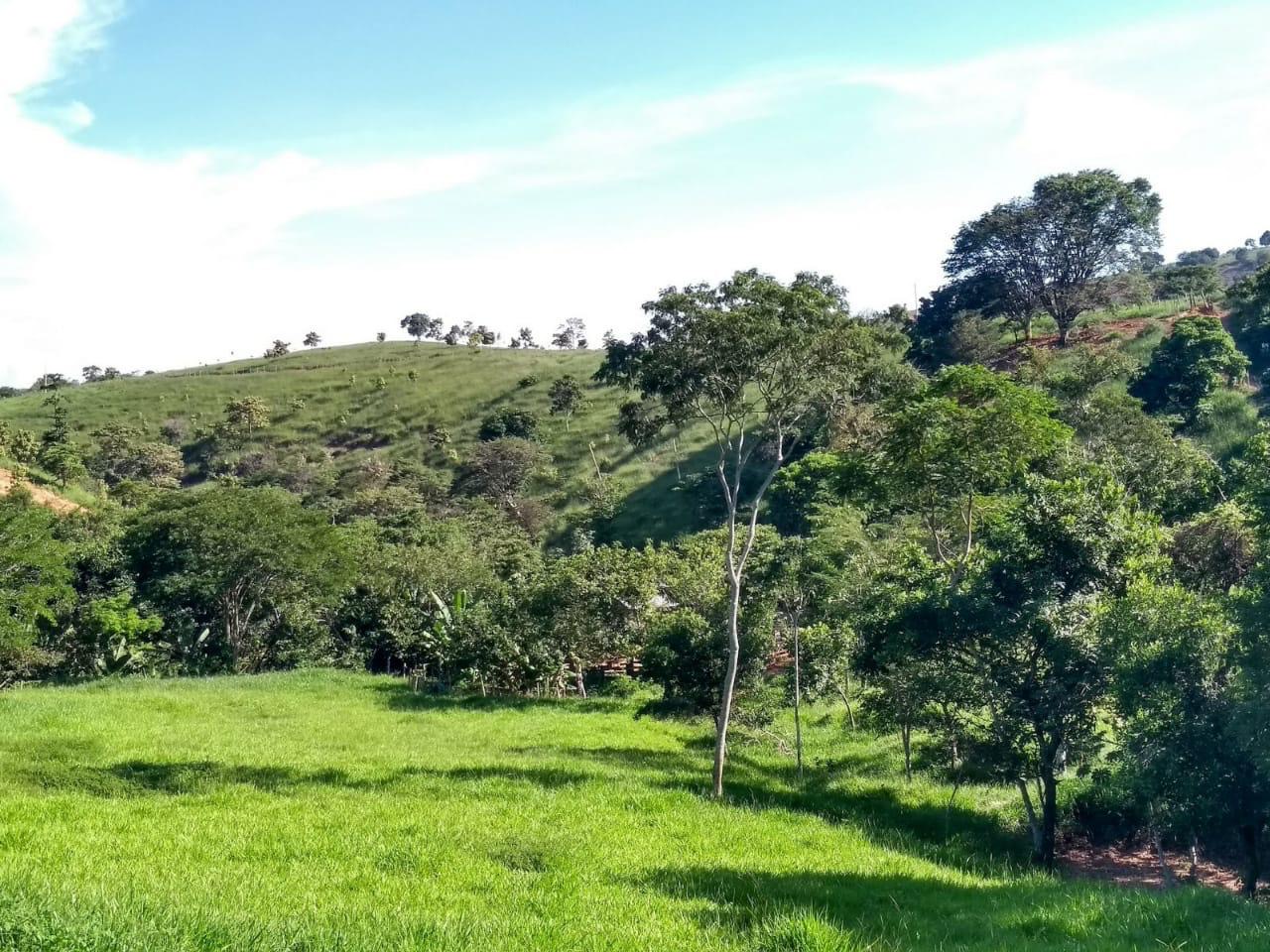 17966f5c-9d76-42d6-9ce7-f4f3975f1b27