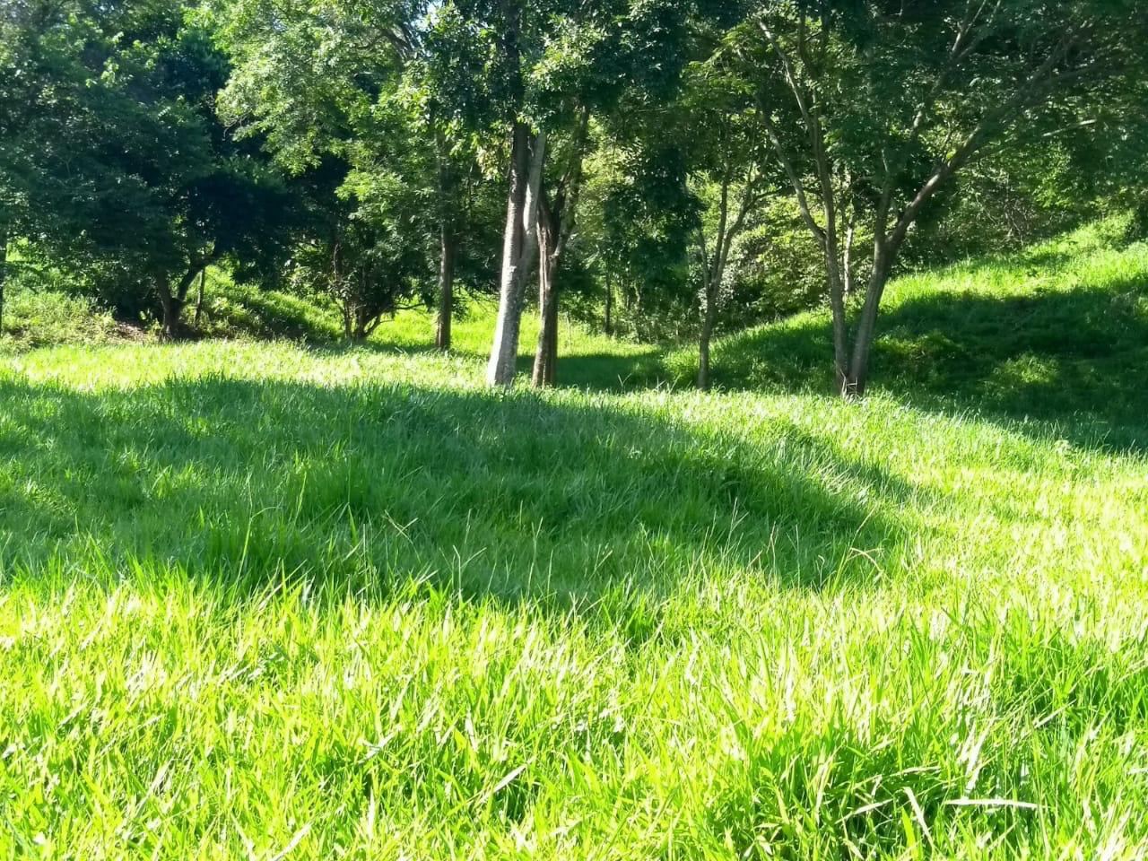 18cd0e9a-4d13-43d7-8272-37a814d2944b