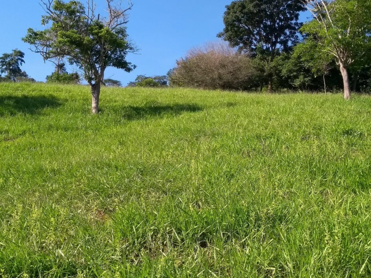 4a3fc0ac-3260-436e-85a5-d498fa991f9d