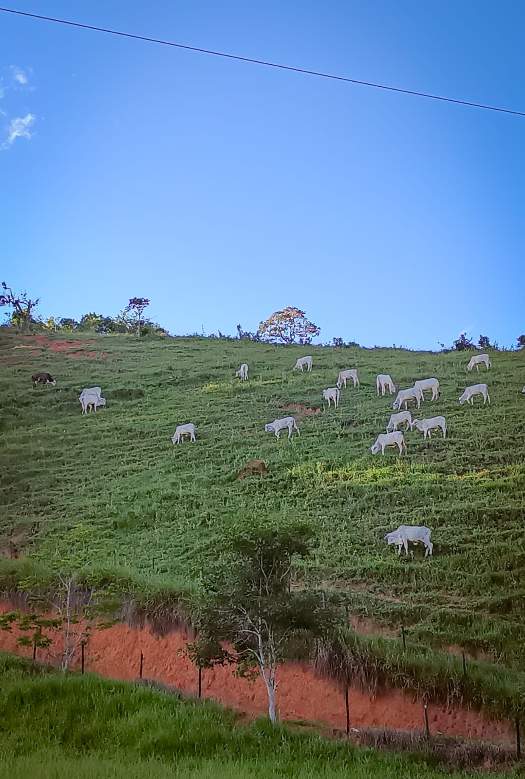 50b8caac-7d59-4c3e-a50f-36a40439dbcb-1