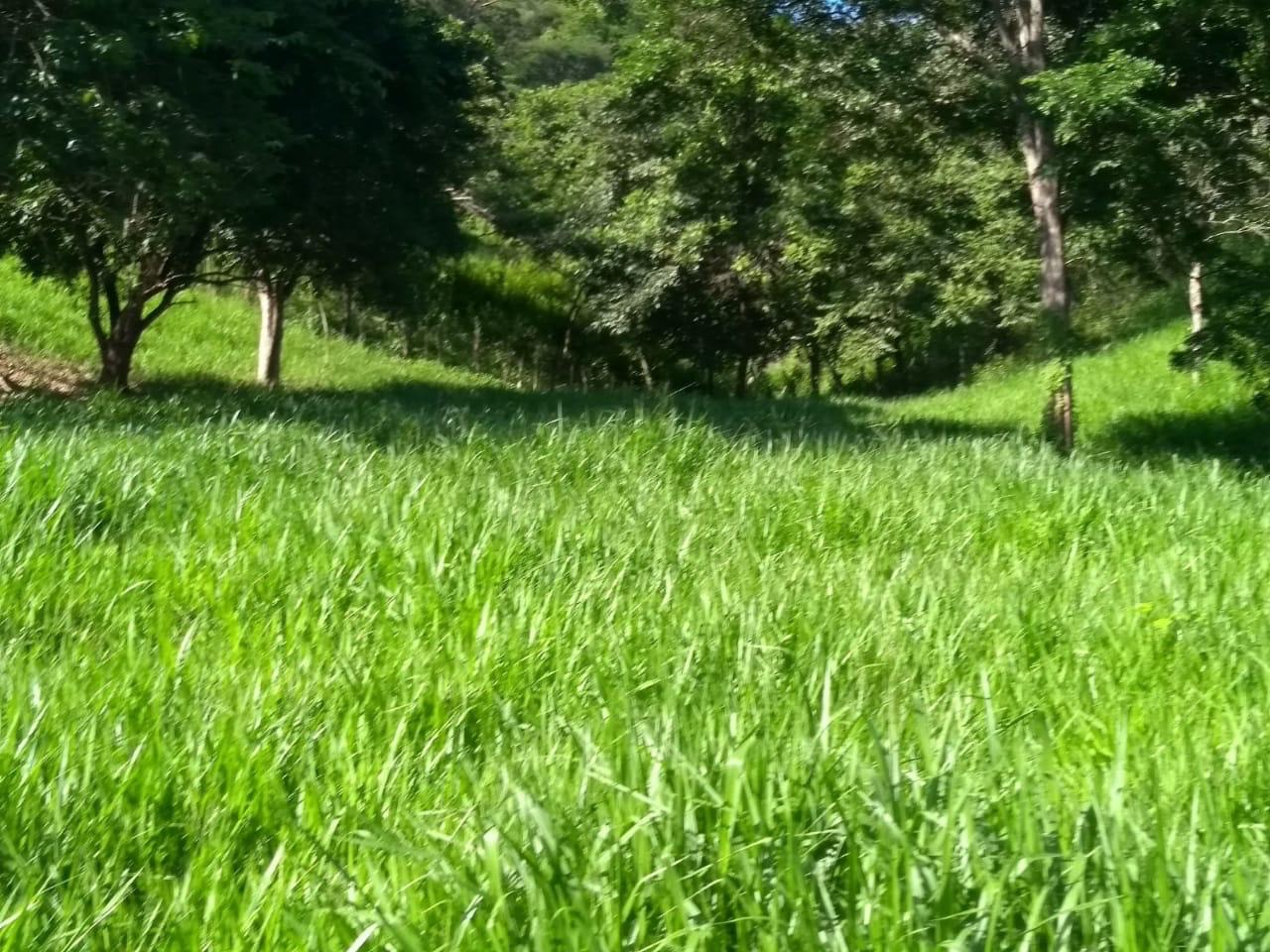 5363e42e-9c23-456a-ab29-766b750da2df