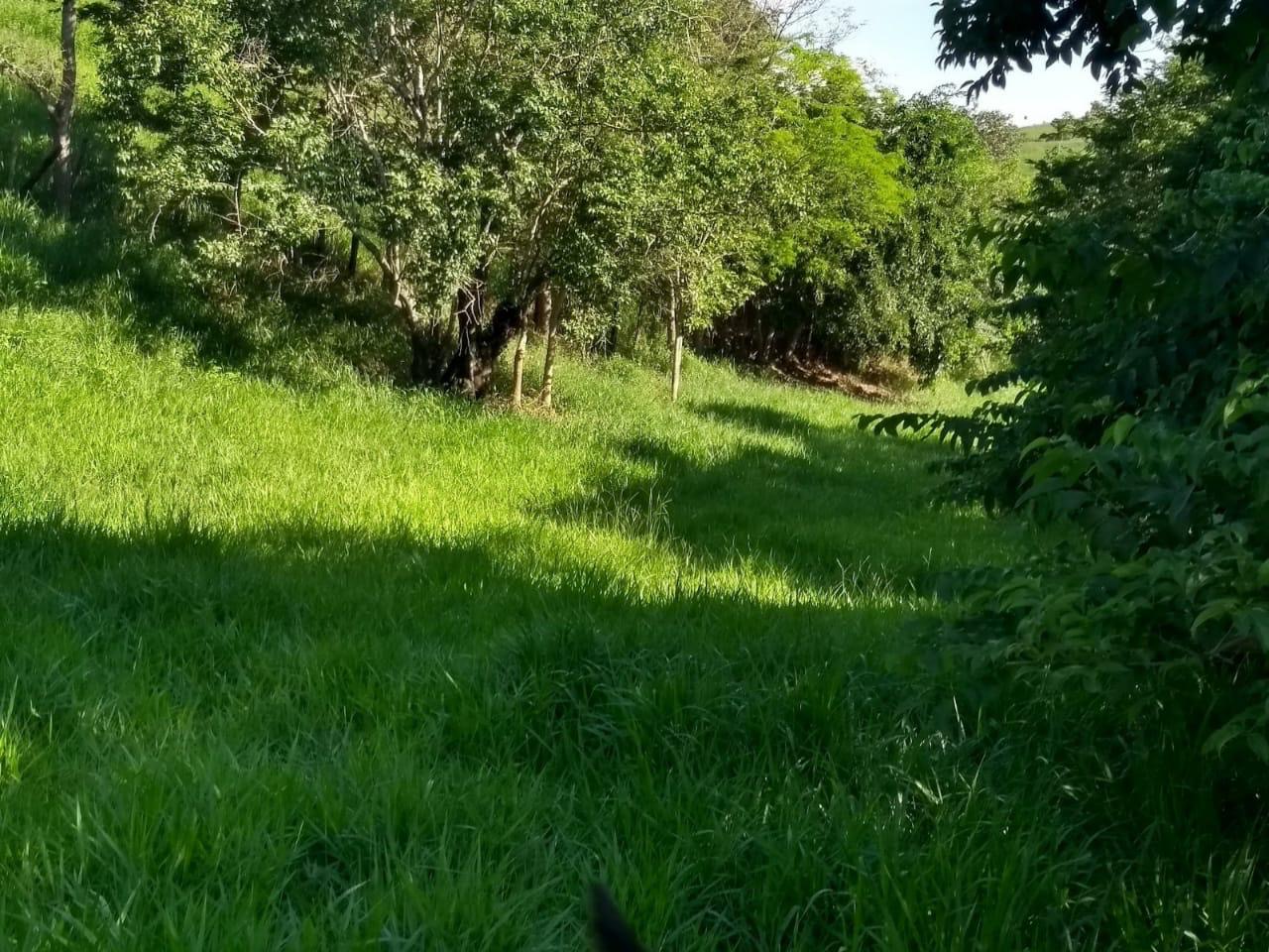 c26cb59f-adfb-4abd-83df-d25d0f761b41